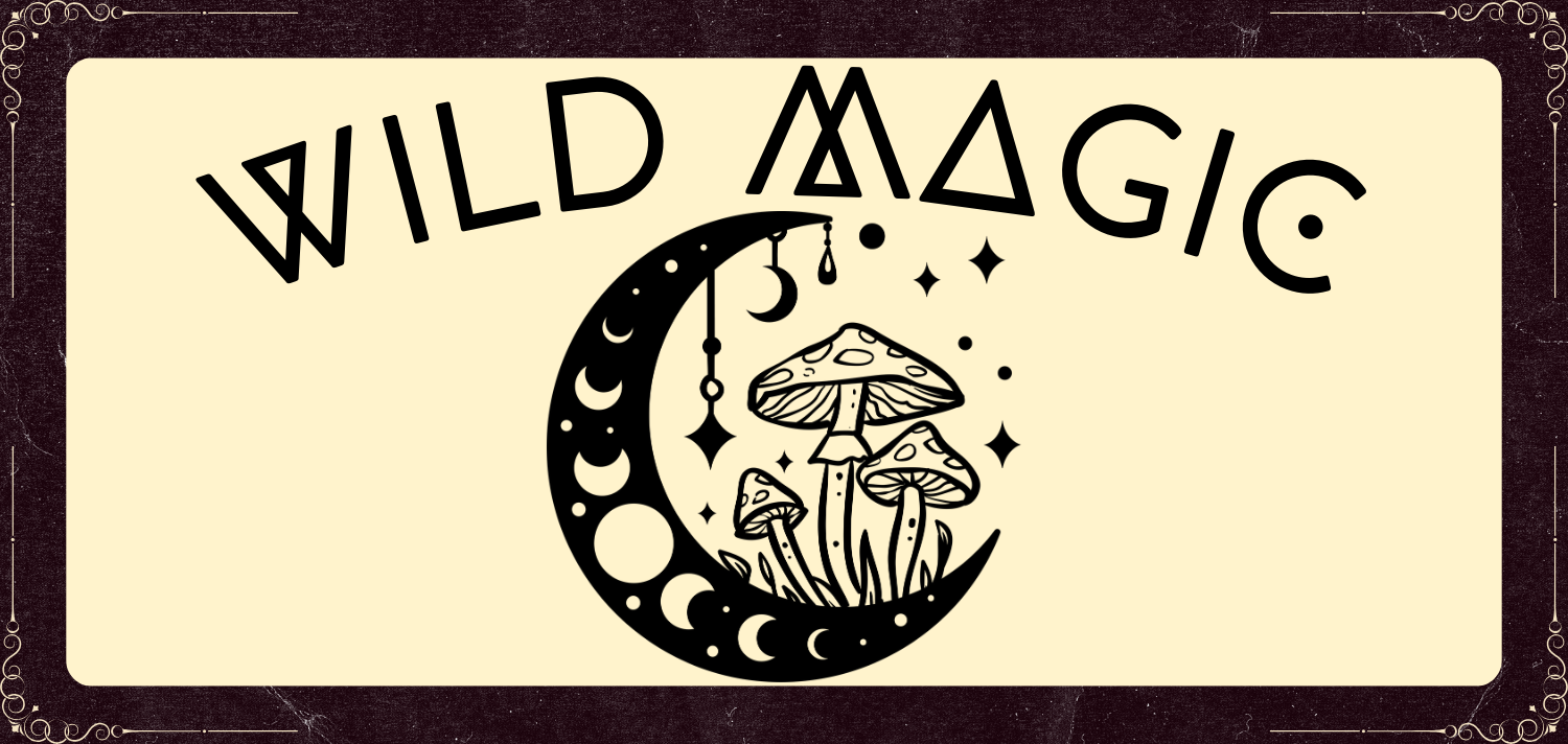 WIld Magic 0923 Banner Desktop