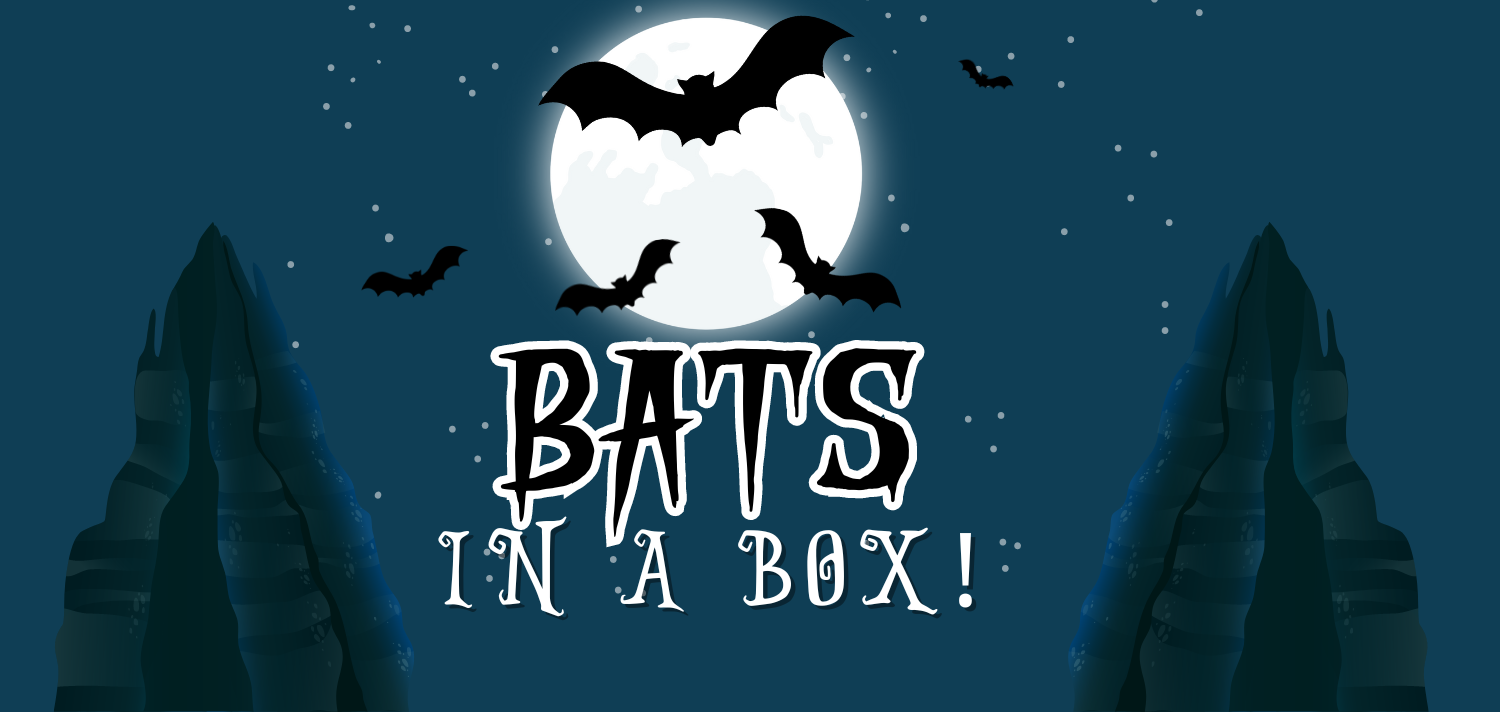 Bats in a Box 0124 Banner Desktop
