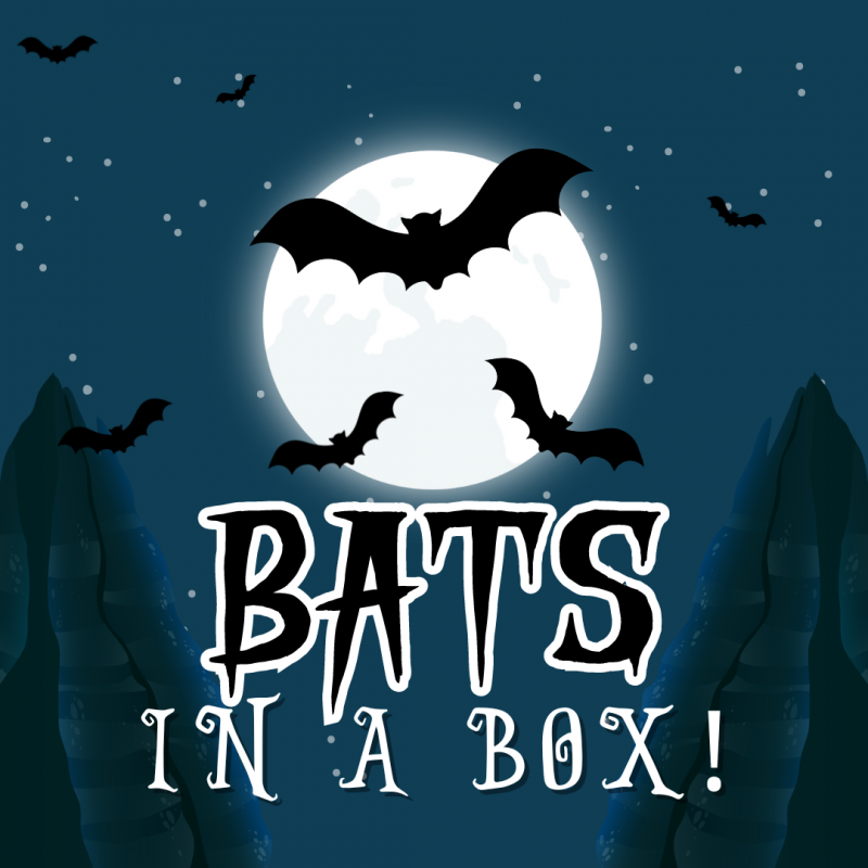 Bats in a Box 0124 Banner Mobile