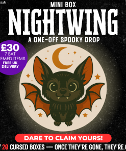 Nightwing Box - One Off 1125